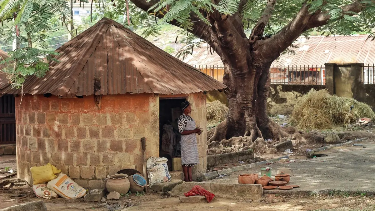 Pengiklan Mali: Cari kreator Roposo China untuk uji mikro