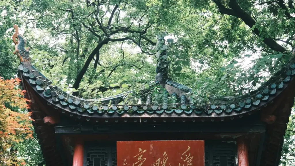 I ni ce: Hali ka fan ka sariya don, ni furu kɛ fɛli Ethiopia brands ye Xiaohongshu la beta launches yɛrɛw. Tenen denbaya, VPN tips, DM templates, ni partnership hacks.