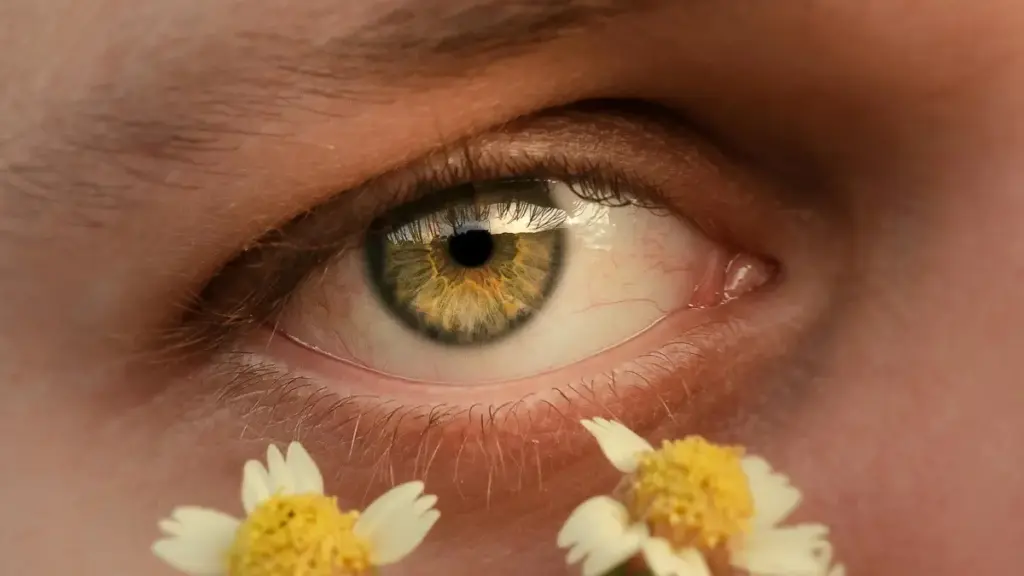 Panduan praktikal buat pengiklan di Mali — cari, nilai dan libatkan kreator OnlyFans dari Georgia untuk dorong pemasangan aplikasi mudah alih dengan selamat dan efektif.