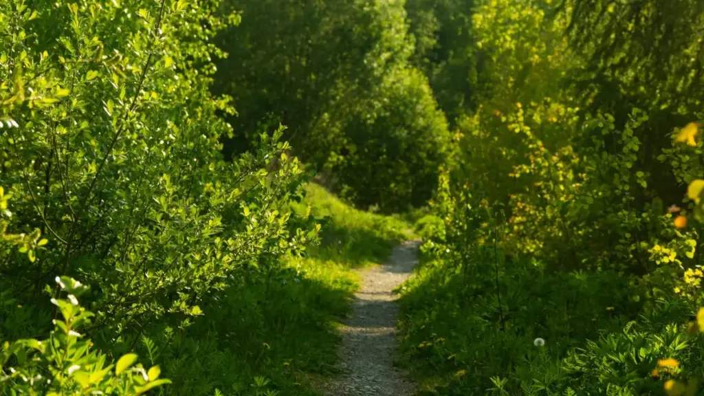 Pandan kɔnɔ, di sigi ka yɛrɛ la: karan kɛ Argentina brands la ni Threads ye, ni i bɛ sariya UGC opportunités. Tipɛni, taktiks, ni dɔnyɔrɔ fɔlɔ-fɔlɔ.