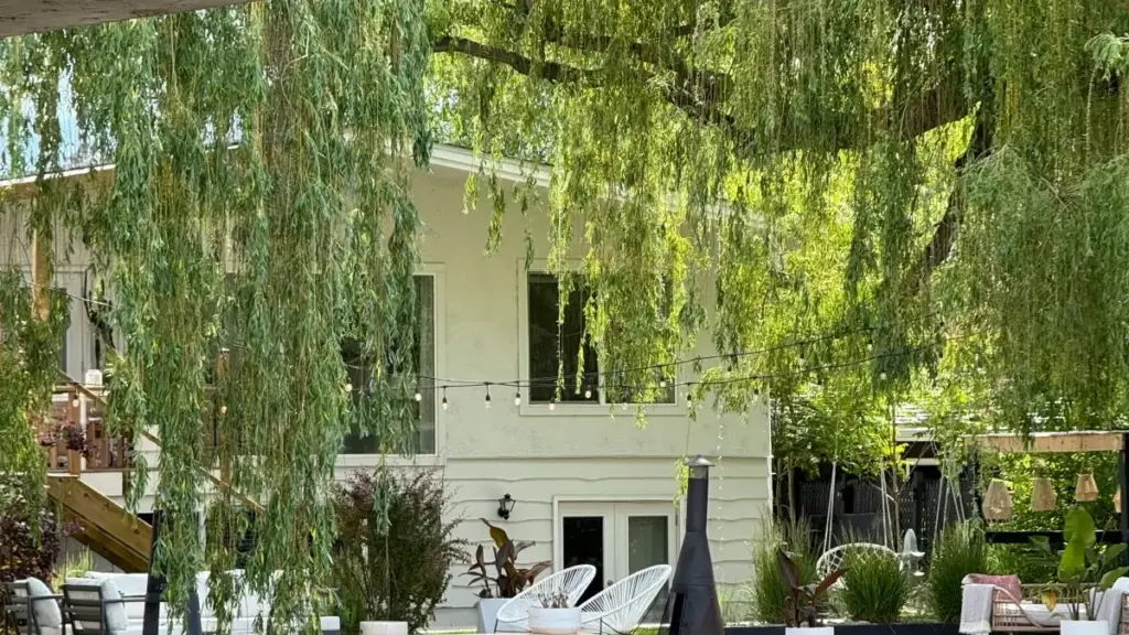 N bɛɛ fɔli: dɔnkili ni taɲa la, kɔrɔlenna kɛra — sariya kɛ nyogon Bangladeshi Reddit créateurs si fɛɛrɛ kɔrɔnyɛrɛ jan.