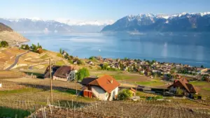 Fɔlɔni kɛra kan: ni kɔrɔbaya ye Roposo ye, ka sigi Lithuania brands, ni ka sɔrɔ kɛni game publishers la. Danbali, tactics, ni legal tips.