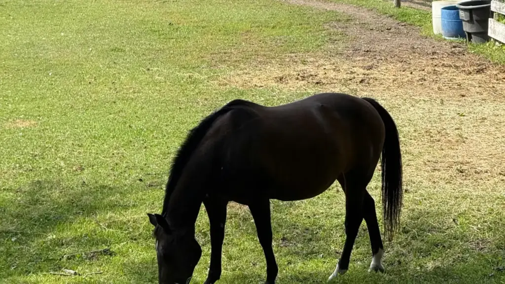 Sinsaya kɛ̀nɛya: fɔlɔni tɛmɛni ka se ka yera United Arab Emirates brands wɔ Spotify, kɔrɔla launch hype ye, ni kɔrɔfɛ ni teknoloġi.