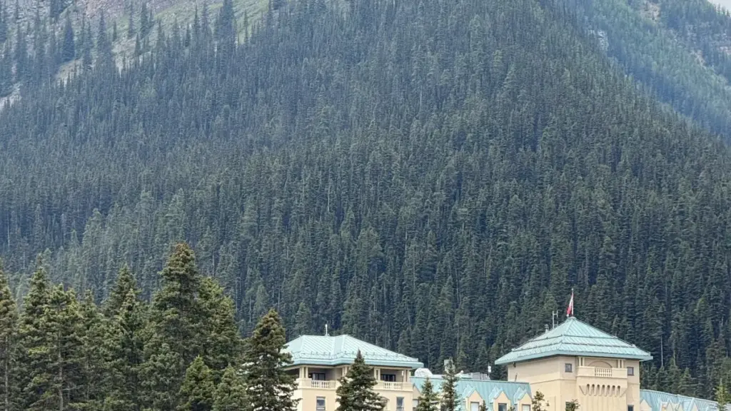 Turu fɔlɔ kɛ la: sigilen UK brand fila ɲɛ Line bɛɛ, ni fɔ GRWM videos — tuma, bogɔya, ni tɔrɔw ka sariya.