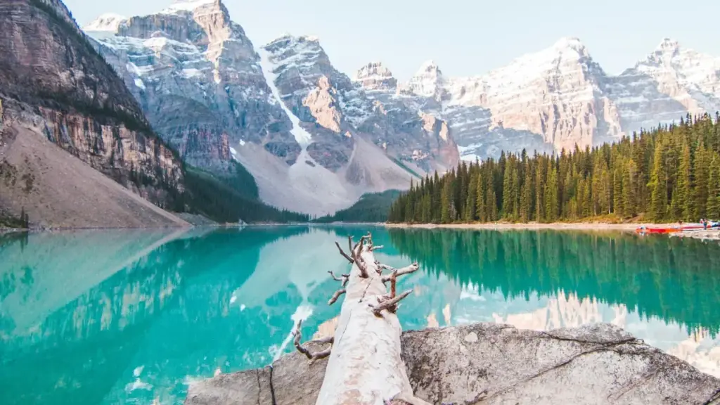 Doni fôlô kɔrɔ ye: ni ka seginɛ Douyin la, ka bɛ sigi India brands ye, ka sɔrɔ UGC mɔgɔw la. Fin ye don ni sariya, tipɛnni ni don.