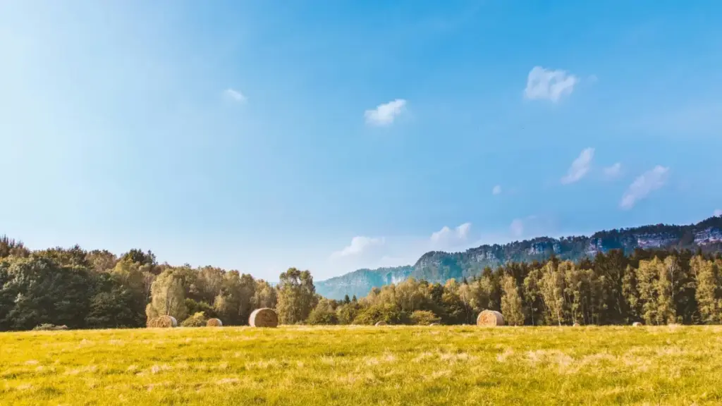 Siga ka bolokini sariya fôli: fôlôni bɛɛ ka sôro Estonia Discord creators ye, kɔrɔsi fôli, ni Baoliba sɛbɛn. Tulu ye 2026, tips ni taktiks fɛ.