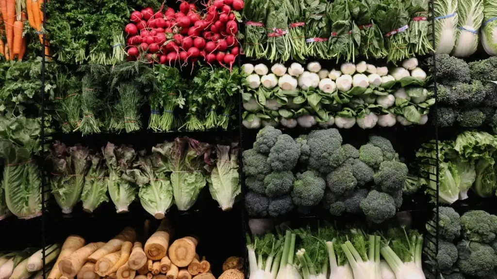 Toro fɔlɔ don: sariya ni alogo kɛrɛya ka bɛɛ bɔ Reddit creators Tchèkiyé la, kɔrɔfɛ ni kɛlen don ka sigi real-life event vlogs — tips, risiki, ni kan.