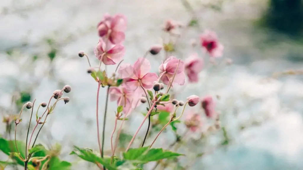 Mɔgɔkunw ye kɛra: ni ka bɛ sigi Austria brands fila Instagram la, kɔnɔ fɔlɔ ka fo partenariat dɔw game publishers kɛ. Tulu ye taktiki, PR, ni GenAI yera.