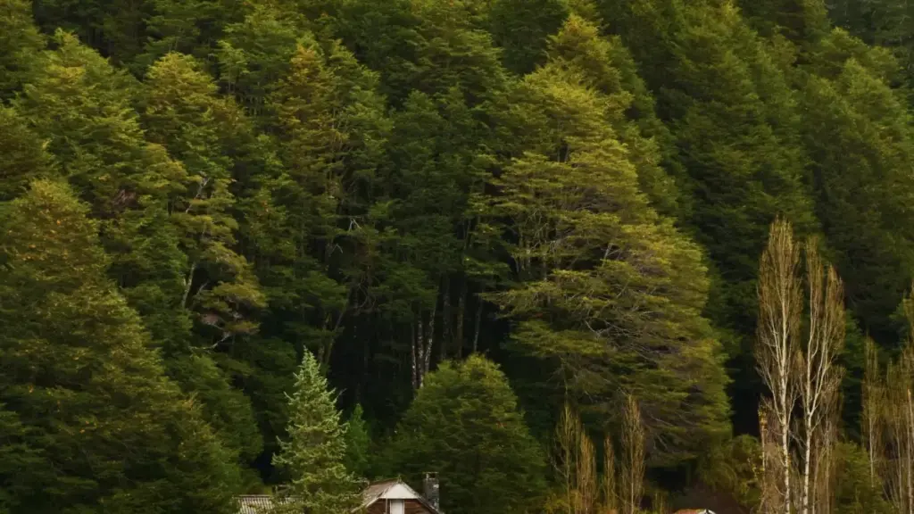 Sumaya ka fɔ: i bɛ i sigi Mongolia brand la KakaoTalk ye, o bɛ taa ko i fɔlɔ janfa fila kɛli fitness brand kan. Makɔrɔw ka kan, denw, ni sigilan.