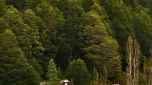 Sumaya ka fɔ: i bɛ i sigi Mongolia brand la KakaoTalk ye, o bɛ taa ko i fɔlɔ janfa fila kɛli fitness brand kan. Makɔrɔw ka kan, denw, ni sigilan.