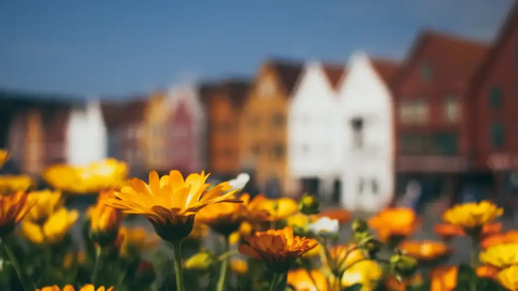 Bi ye kɛ́ la: mɔgɔ fila ka fɔ ka fɛ̀ra Venezuela firmaɲɛ la Facebook fila kɛ PR-pakɛji unbox ni review. Sariya, taktiki, risk ni MaTitie VPN sugu.