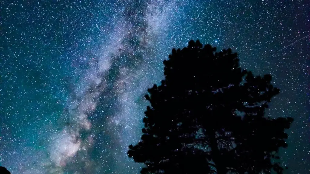 Kɔnɔkun fɔlɔ kɛ taobao creators ka taa Tanzania la — i be Mali kɛ, ni kɔrɔw ka don seeding, ciblage, ni partnership fɔlɔ.