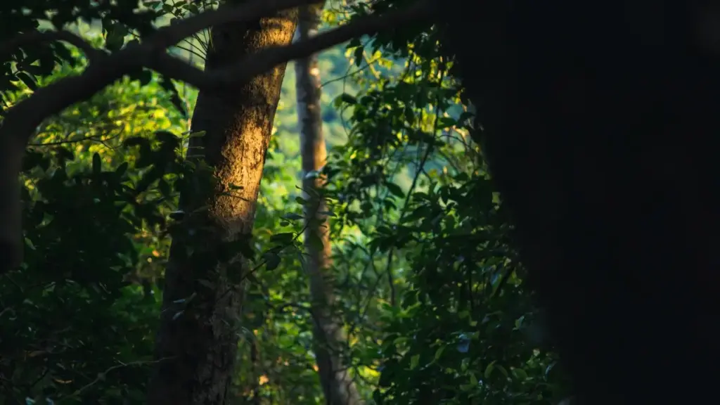 Kanu ni yera: kɔrɔn ye don Kakaotalk la Iceland brands fɛ, ka sariya productivity guides bɛɛ fɔlɔ. Tɛgɛli, taktiki, ni MaTitie sigi.