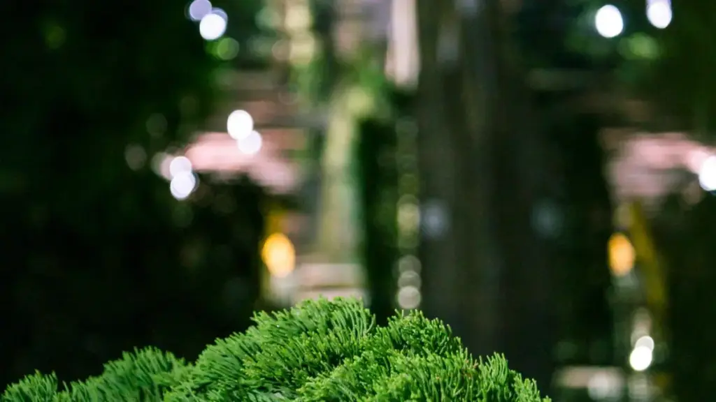 Panduan praktikal buat kreator Mali: strategi guna Clubhouse untuk kontak jenama Laos, membina lookbook fesyen, dan sambung ke live commerce.