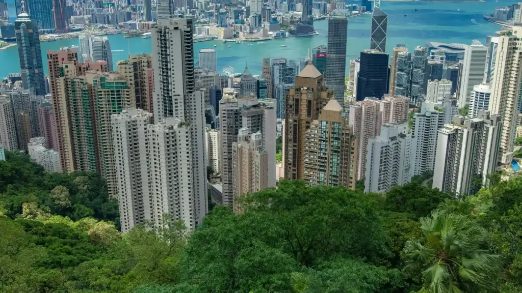 Hanyɔrɔ kɔnɔ: don kɔrɔniirew ka sisan Zalo ka fɔ brands Tanzania sɛn wardrobe-haul videos. Talan, tips, nümunu, ni ma don fɔlɔ.