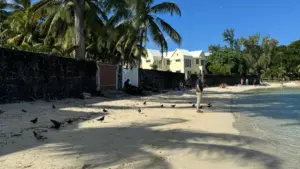 Ka ka India brands bɛ kɔ LinkedIn la, ka flat-fee deal dɔrɔn kɛ? O ye praktiki ɲɛfɔlɔ, message sample, ani pricing strategy ye.