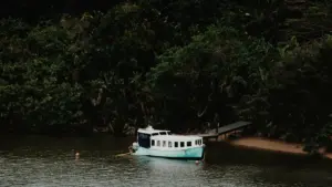 Yèrèyèrè, ka fɔlɔ ka bɛɛ fɛ ka taa Norway Reddit créateurs sɔrɔ, ka wellness routines fɔlɔ influencer taabolo kɔnɔ, ka kɛ jɛlɛya ni sɛbɛnni kɛ.